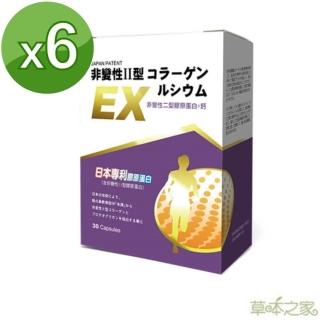 【草本之家】日本非變性二型膠原蛋白+鈣膠囊6入組(30粒/入MSM、鮭魚鼻軟骨、檸檬酸鈣、珊瑚鈣、膠原蛋白)