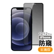 iPhone12 12 Pro 滿版高清防窺9H玻璃鋼化膜手機保護貼(12Pro保護貼 12保護貼)