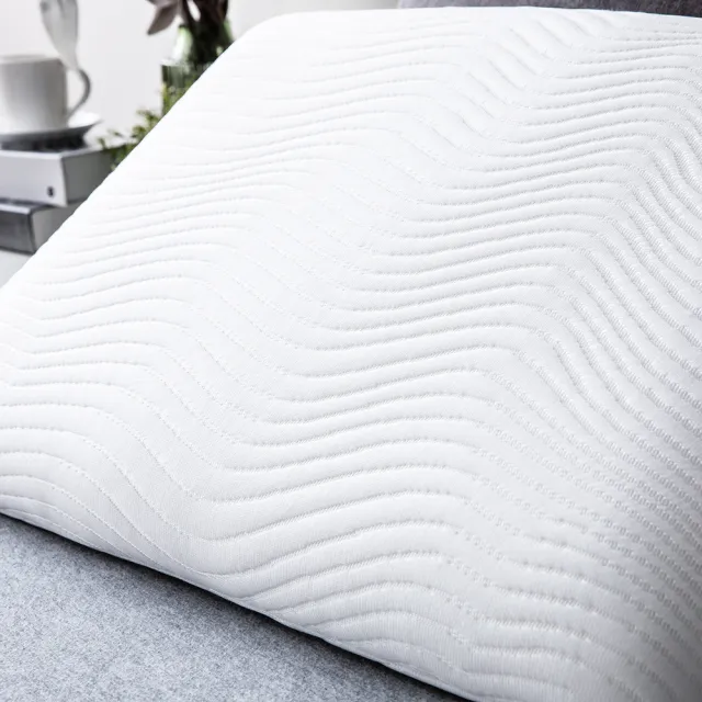 【HOLA】恆好眠防抗菌記憶枕標準型H10cm