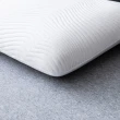【HOLA】恆好眠防螨抗菌記憶枕標準型H10cm