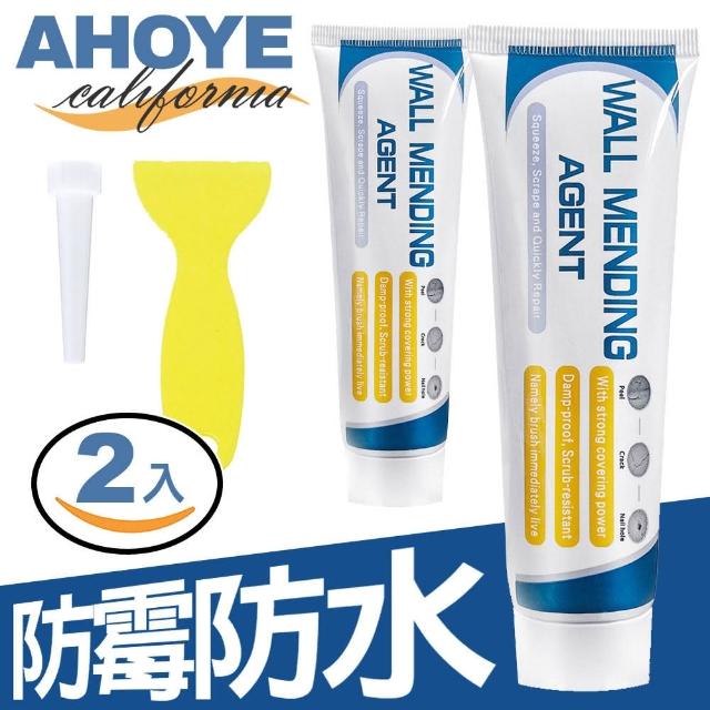 【AHOYE】防霉防水壁癌裂縫補牆膏120g 兩入組 付刮板+尖嘴 壁癌漆 牆面修復 補土