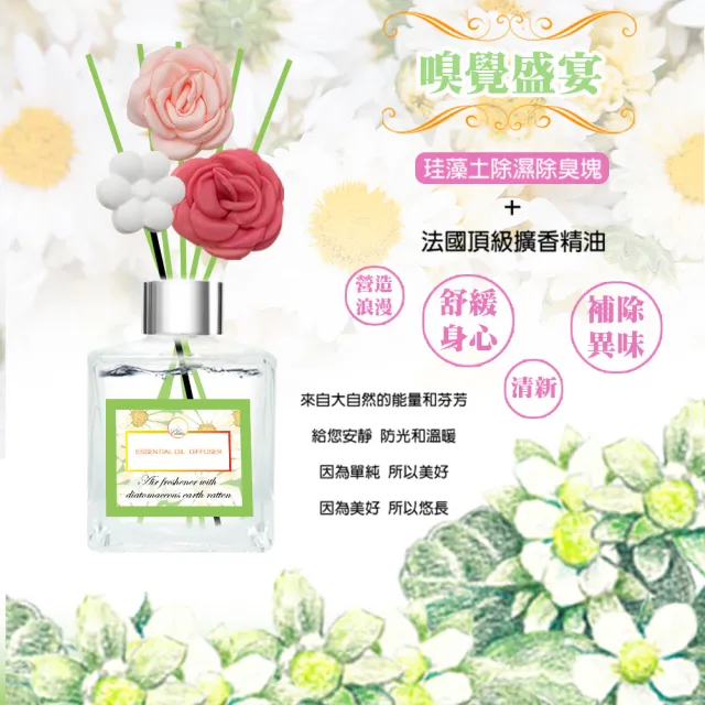 【QIDINA】春夏限定珪藻土擴香瓶 200ml x2入(加贈 彩色珪藻土擴香棒x3入)