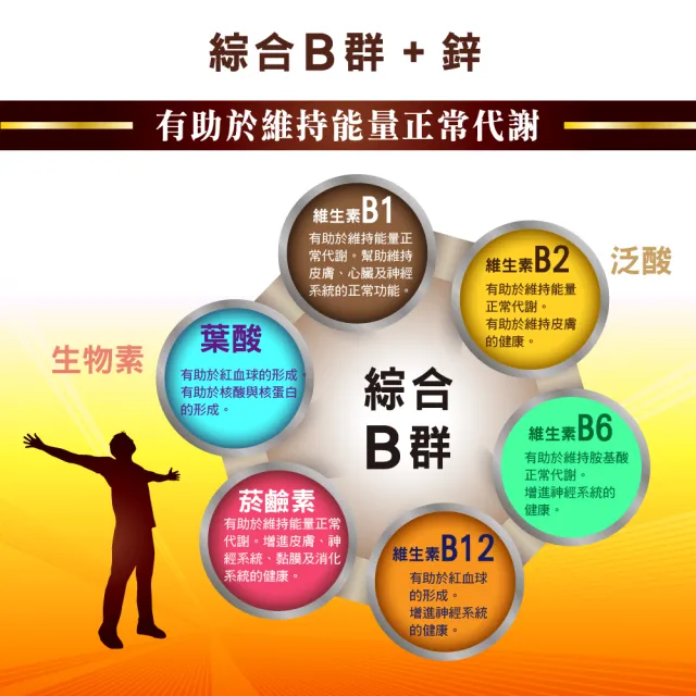 【好朋友】牛樟芝菌絲體+黃金蜆 肝精30顆x4盒(進口肝精+朝蘚薊+鋅+綜合B群6效合一)