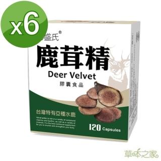 【草本之家】鹿茸精膠囊6入組(120粒/入)
