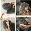【DR.Story】寵物用品寵愛必備安撫貓咪小手套(貓玩具 療癒小物 逗貓 逗貓棒)