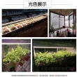 【JIUNPEY 君沛】3入組 T8 4呎 25W全光譜植物燈管(植物生長燈)
