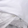 【Betrise極品A+】純棉緹花- 100%天然手工桑蠶絲被(6X7尺)