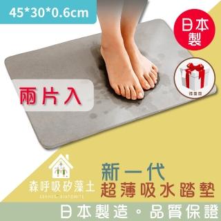 【森呼吸矽藻土】新一代超薄吸水踏墊-礦灰/精緻禮盒版*兩片入(吸水 踏墊 超薄 小尺寸 日本製)