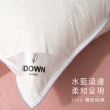 【iDOWN BEDDING】滾邊舒眠羽絨枕 1 入組(睡感不要太軟、不要太硬 - 軟硬適中)