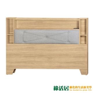 【綠活居】德普 現代5尺皮革雙人可收納床頭片(七色可選＋USB插座)