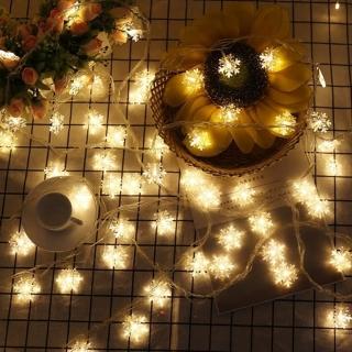 【BLS】聖誕20顆LED燈-雪花(電池款/300cm)