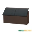 【綠活居】魯達  現代5尺皮革雙人床頭箱(二色可選)