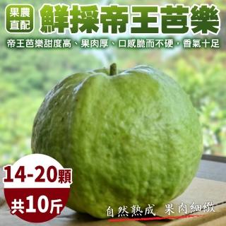 【農民直配】台灣嚴選帝王芭樂(10斤/箱)