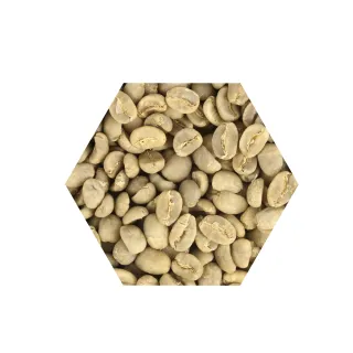 【E7HomeCafe一起烘咖啡】曼特寧濕剝咖啡生豆500g/袋(生豆)