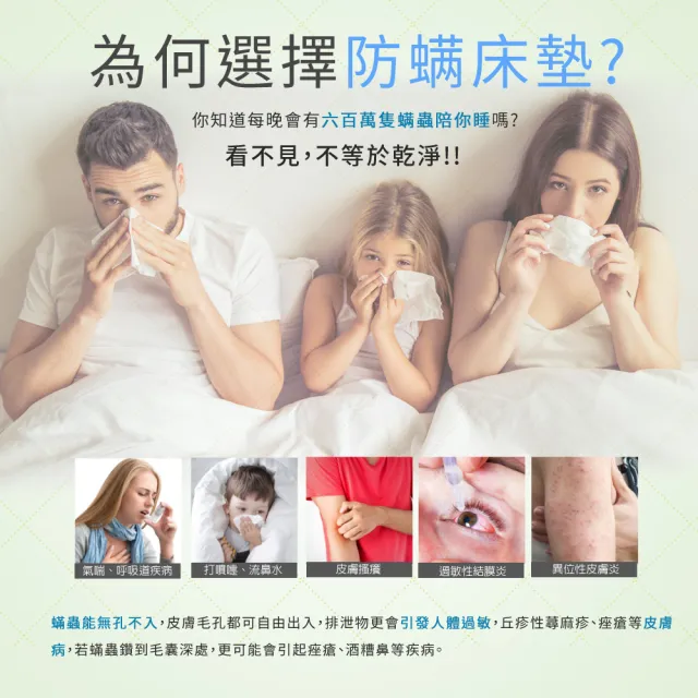 【LooCa】單大3.5尺 法國防蹣11cm記憶床墊105x188cm★送枕X1｜宿舍床墊推薦
