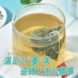 【蔘大王】冬瓜荷葉美濕茶包X2組（6gX10入/組）(促進新陳代謝 調節生理機能)