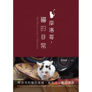 摩洛哥，貓的日常
