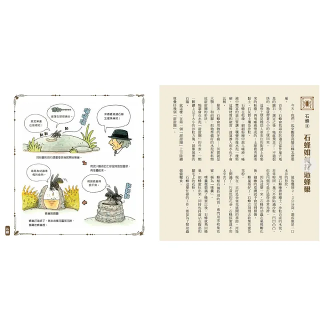 法布爾老師的昆蟲教室（全套3冊）