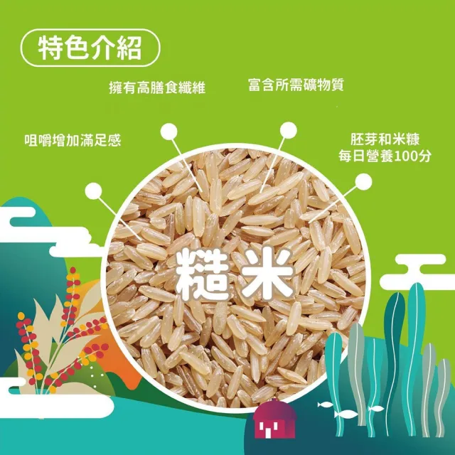 【野菽家】堅果營養棒1入(四種口味:蔓越莓30g/海苔藜麥30g/蜂蜜檸檬30g/地瓜25g)