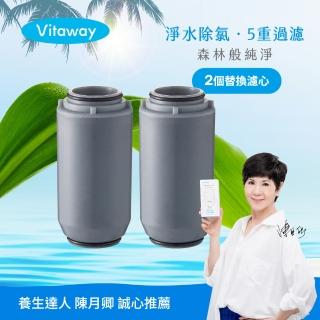 【Vitaway維他惠】森林SPA活水沐浴過濾器專用濾心-台灣製-陳月卿推薦(2入組)