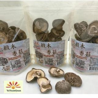 【亞源泉】埔里高山椴木香菇80g-大朵10包(贈亞源泉系列商品2包)