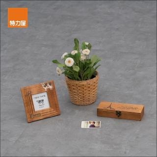 【特力屋】塑膠地磚18吋-深灰頁巖-0.5坪 DIY地板/塑膠地板/自黏地板/仿石紋/防水地板