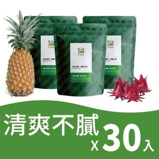 【Hoiis好集食】清爽不膩養生茶10入x3袋(鳳梨洛神薄荷/蘋果甜菊/香橙包種)