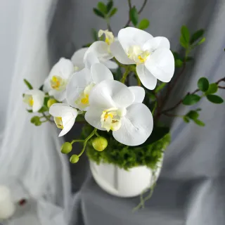 【HUGO DECO 榆果傢飾】白蝴蝶蘭香氛花藝(擬真花/香氛/花禮/節慶送花)