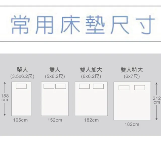 【Therapedic 沛迪醫生】美夢二代Agro乳膠三段獨立筒兩線床墊(雙人特大)