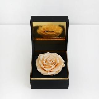 【CNFlower 西恩】唯一 恆星花禮-香檳(送禮/買花/恆星花/花禮/永生花)