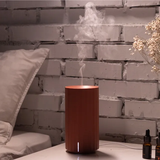 【Roommi】2公升輕量除濕機+Ljus香氛水氧機(RMDH01+RMAD01)
