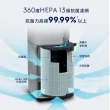【Electrolux 伊萊克斯】PA91-606/EP71-76 系列清淨機專用濾網組-標準型(EFDCLN6-29坪以內空間適用)