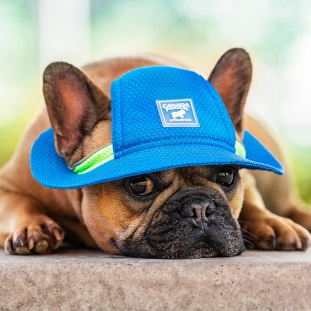 【CANADA POOCH】涼感漁夫帽-藍色(寵物配件-CANADA POOCH-Cooling Hat Blue)