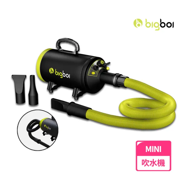 【bigboi】單馬達MINI吹水機/附吸塵配件/(吹風機 吹水機 吹水吸塵兩用 居家清潔 寵物美容)