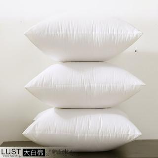 【Lust】抱枕心 現貨 多種尺寸/沙發靠墊/臺灣製造