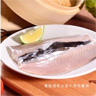 【江醫師健康鋪子】蝨目魚肚6入(180g/包)