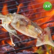 【賣魚的家】燒烤必備深海魷魚 4尾組(350g±3%/2尾/包 共2包)