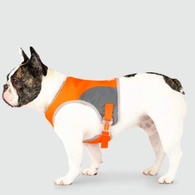 【CANADA POOCH】寵物背心/ 搶眼安全背心-16(High Visibility Safety Vest-16)