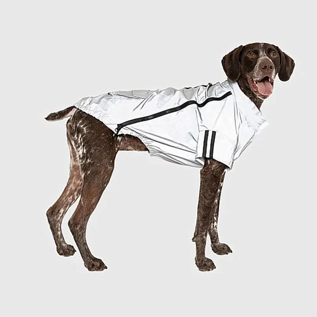 【CANADA POOCH】寵物雨衣/ 夜視反光夾克-12(Night Vision Jacket Grey-12)