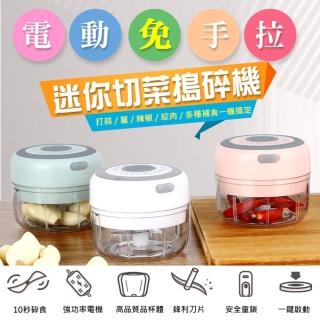 【ROYAL LIFE】電動免手拉迷你切菜搗碎機-2入組