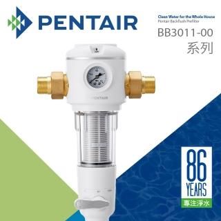 【Pentair】反沖洗式前置過濾器(BB3011-00)