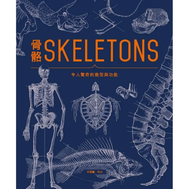 骨骼SKELETONS ： 令人驚奇的造型與功能 | 拾書所