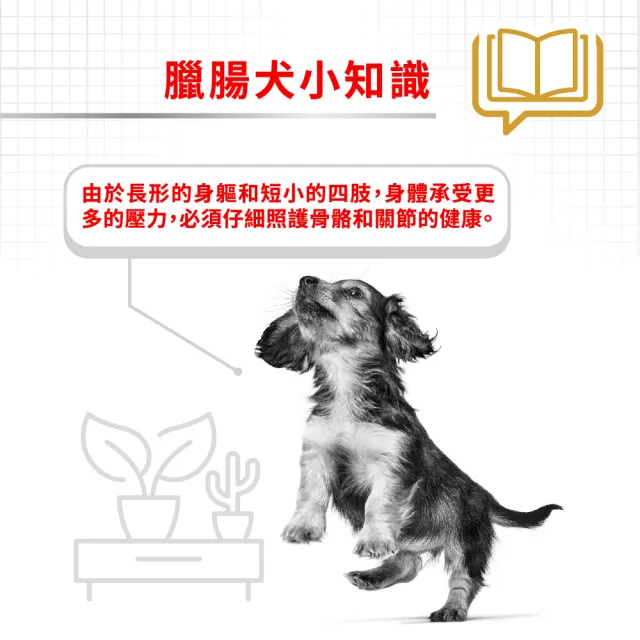 【ROYAL 法國皇家】臘腸成犬專用飼料  DSA 7.5KG(狗乾糧 狗飼料)
