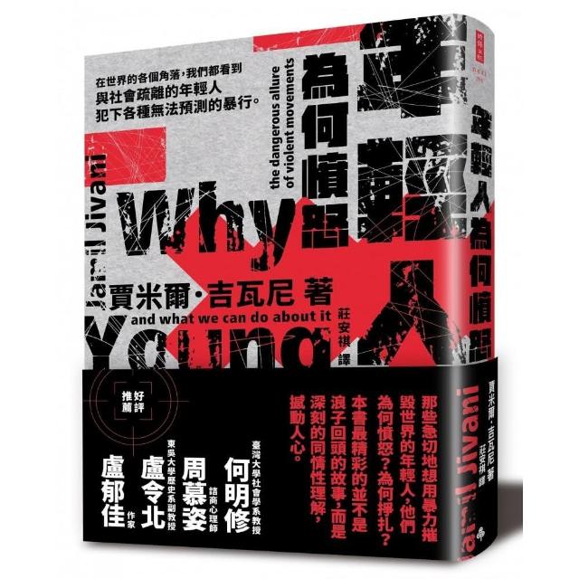 年輕人為何憤怒：暴力組織的危險誘惑以及我們能做什麼 | 拾書所