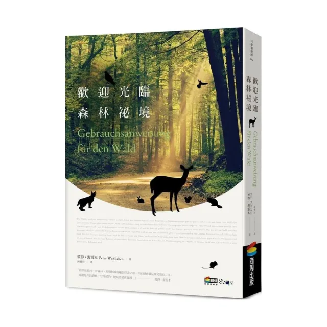 歡迎光臨森林祕境