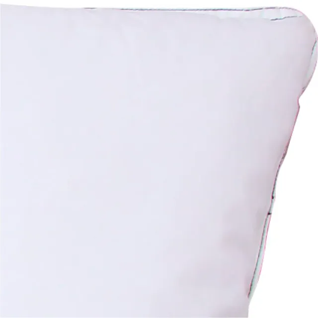 【NITORI 宜得利家居】100%天然羽毛飯店專用枕46×74cm