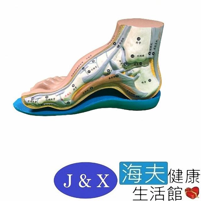 【海夫健康生活館】佳新 肢體裝具 未滅菌 佳新醫療 人體工學 線內側縱弓 吸震 高弓足鞋墊(JXFS-002)