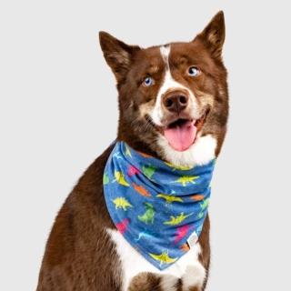 【CANADA POOCH】輕量印花領巾-恐龍(寵物配件-CANADA POOCH-Bandana -Dinosaur)