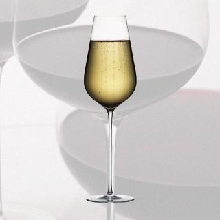 【WINEX】香檳酒杯PLUS(手工香檳杯)