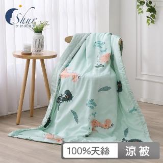 【ISHUR 伊舒爾】臺灣製 天絲涼被 100%萊賽爾天絲 4x5尺(4x5尺/多款任選/涼被)
